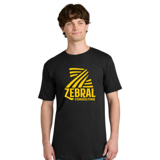 Next Level Apparel® Cotton Long Body Tees