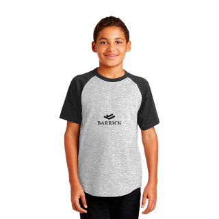 Sport-Tek® Youth Short Sleeve Colorblock Raglan...