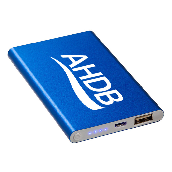 Custom Printed Paramount 4000 mAh ULCertified Power Banks 