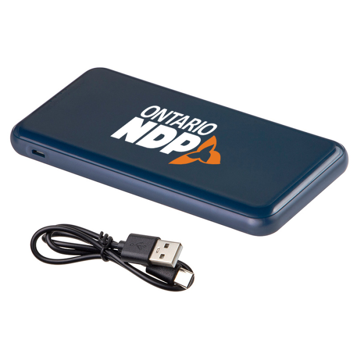 Imprinted Viceroy 10000 mAh Power Banks 