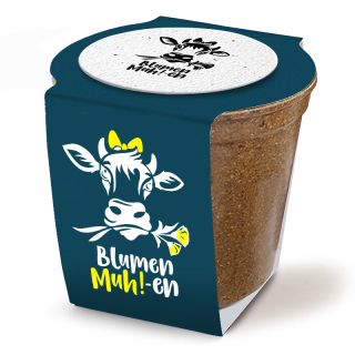 Bloomin® Mini Planting Kits