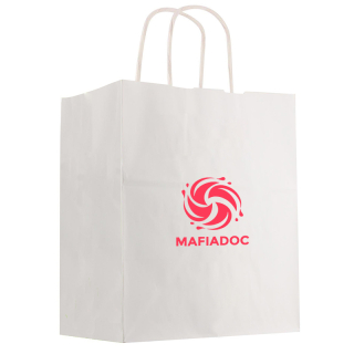 13 x 17 Inch Kraft Paper White Shopping Bags