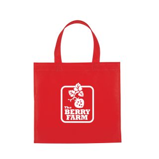 Non-Woven Mini Brochure Tote Bags