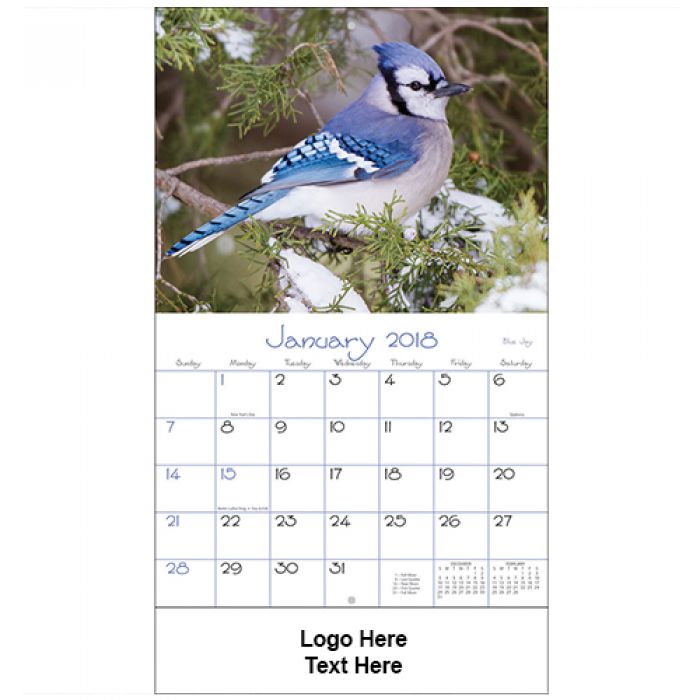 Custom Printed 2018 Backyard Birds Stapled Wall Calendars