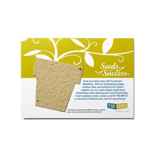 Seed Paper Shape Large Postcards - Standard