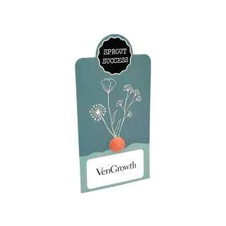 Single Seed Ball Cards - Sprout Success