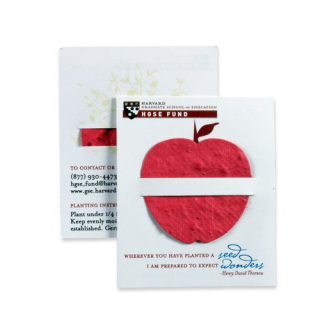 Lil' Bloomer Mini Gift Cards