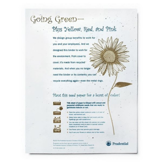 Seed Paper Flyers