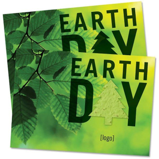 Seed Paper Shape Large Postcards - Eco Dew
