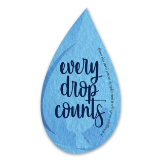 Water Droplet Shapes