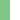 Neon Green/White