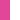 Neon Pink/White