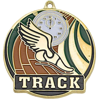 Stock Gold Enamel Medals: Track