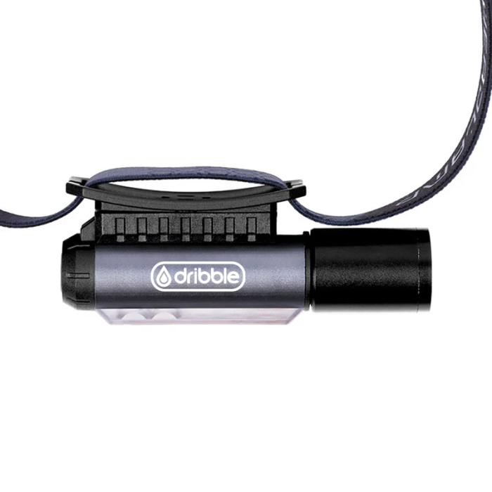 Personalized LED and COB Headlamp Flashlight Combos