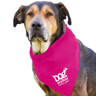 Large Triangle Doggie Bandanas