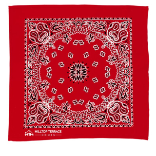 22 Inch Bandanas with Stock Paisley Pattern