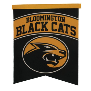 14 x 18 Inch Premium Felt Banners