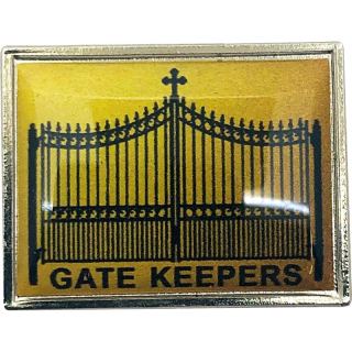 1-1/4x17/32 Inch Digistock Lapel Pins: Rectangle