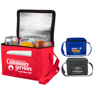 Cool It 8x6x6 Inch Non Woven Insulated Cooler Bags