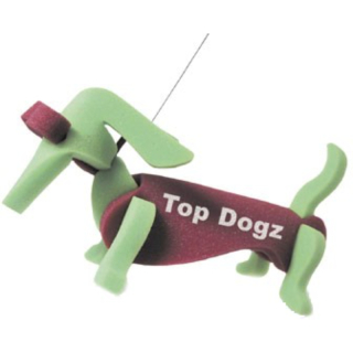 Weiner Dogs on a Leash