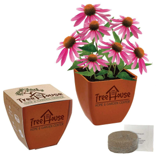 Bamboo Blossom Kits
