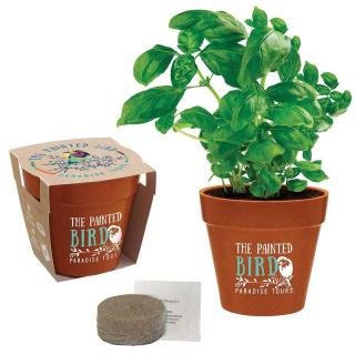 Mini Bamboo Blossom Kits