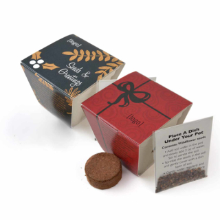 Seed Starter Planting Kits - Handmade Eco White