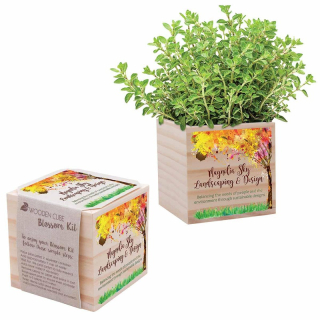 Wooden Cube Blossom Kits
