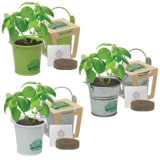 Mini Pail Blossom Kits