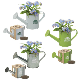 Mini Watering Can Blossom Kits