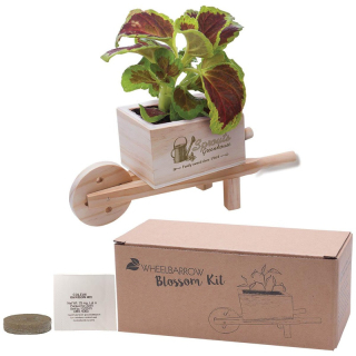 Wooden Wheelbarrow Blossom Kits