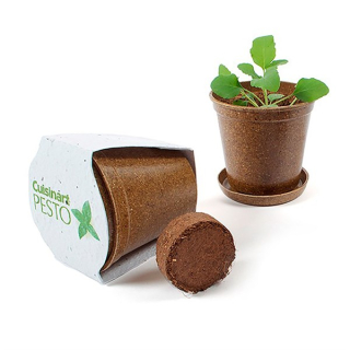 Mini Planting Kits - Seed Paper Wraps