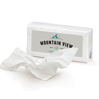 10 Piece Mini Facial Tissues