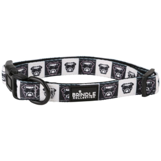 Dog Collars with Neoprene Backing: Large