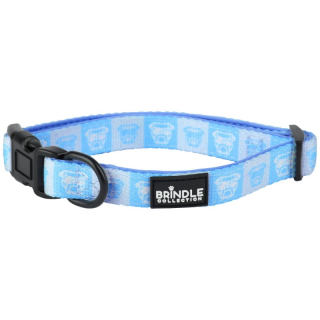 Dog Collars with Neoprene Backing: Medium
