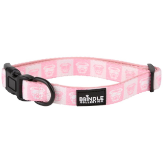 Dog Collars with Neoprene Backing: Extra Small