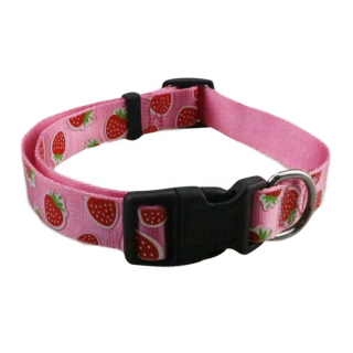 5/8x12 Inch Heavy Duty Polyester Pet Collars with...