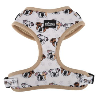 Dog Harnesses: Medium
