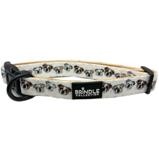 Dog Collars with Neoprene Backing: Small