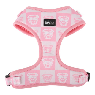 Dog Harnesses: X-Small