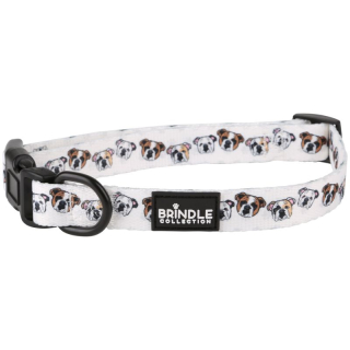 Dog Collars: Medium