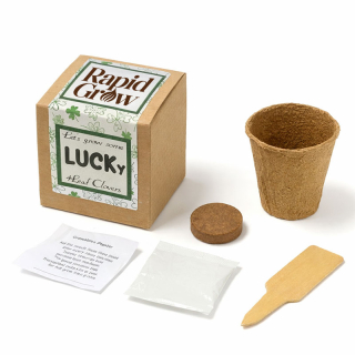 Lucky 4 Leaf Clover Growable Planters in Kraft Gift Box