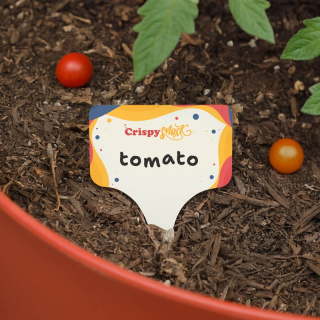 Evergreen Garden Stakes