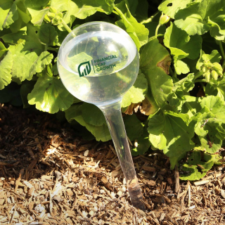 Evergreen Self-Watering Globes
