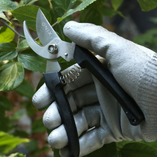 Evergreen Garden Pruners