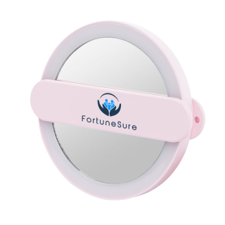 LED Mirrors with Swivel Handles