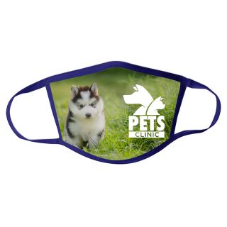 3-Ply Polyester Face Masks