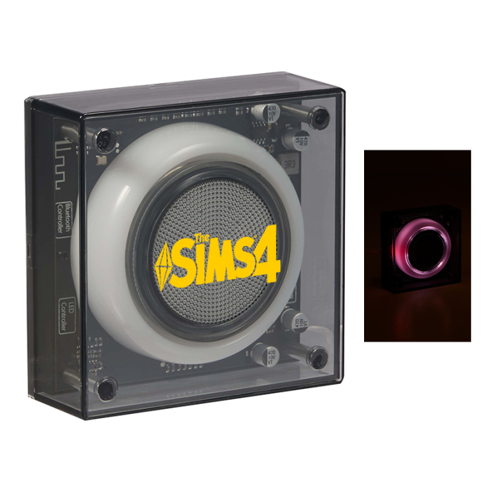 Solekick® Custom Clear Bluetooth Speakers