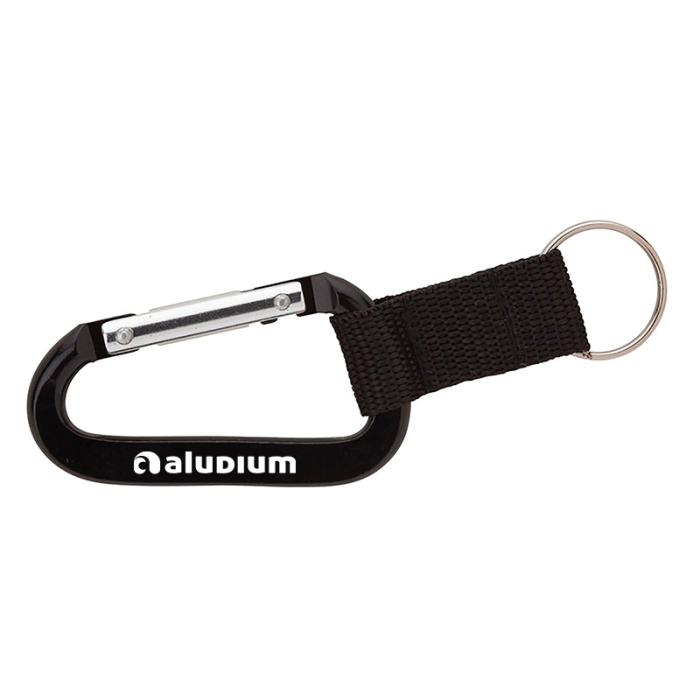 Customized Alta Carabiner Keyrings