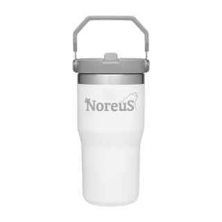 Stanley 20 Oz IceFlow Flip Straw Tumblers